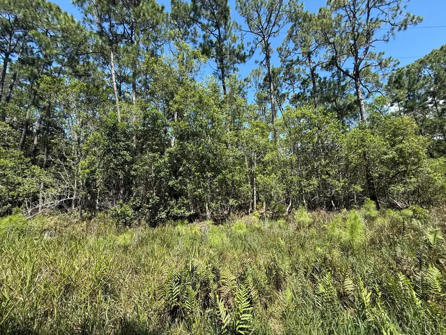210 SE 2nd Street, Georgetown, FL 32139 - #3