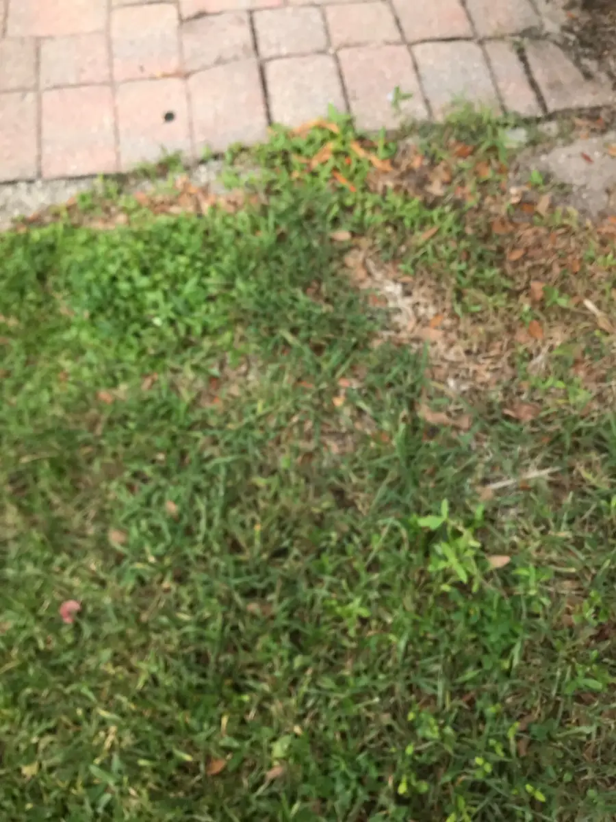 5166 SE White Oleander #5166, West Palm Beach, FL 33415 - #2