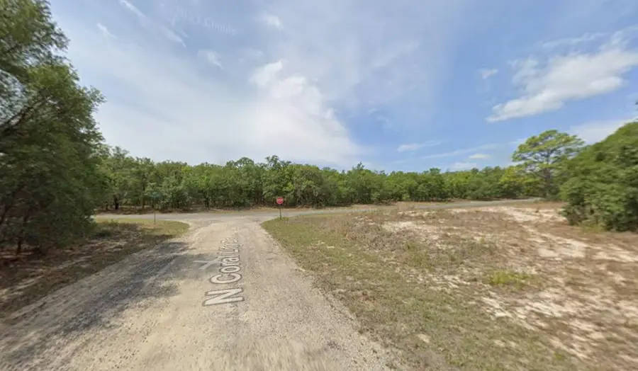 6371 N Coral Lily Drive, Dunnellon, FL 34434 - #3