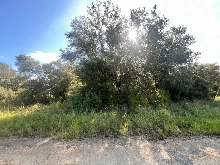 1702 Mcarthur Avenue, Lehigh Acres, FL 33972 - #2