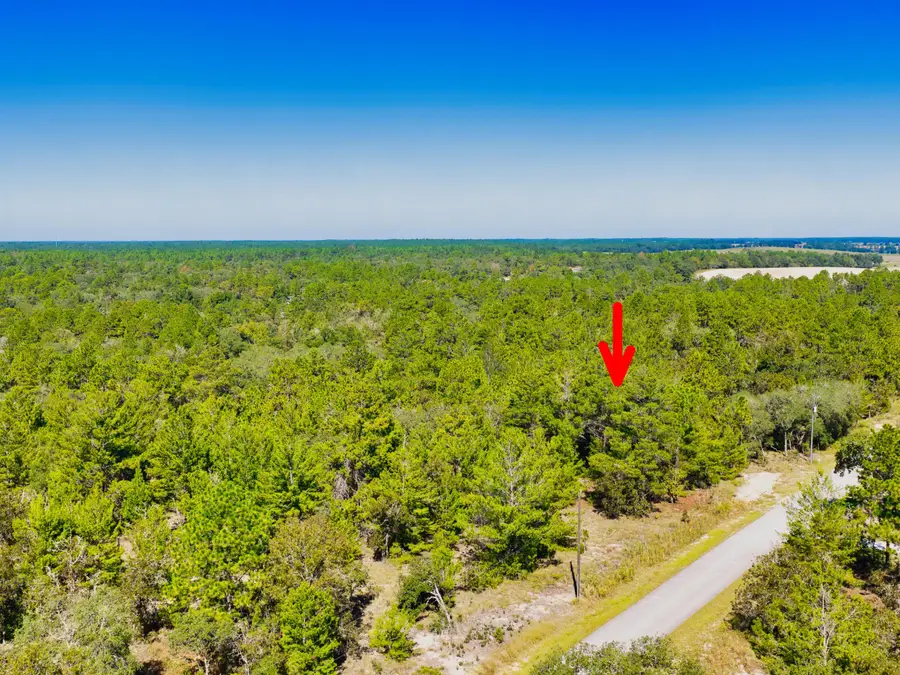 0 0, Dunnellon, FL  - #2