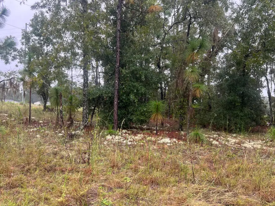 Tbd Stephens Street, Bronson, FL 32621 - #2