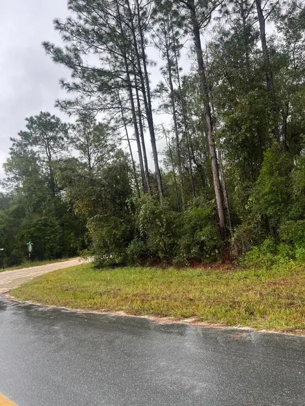 Tbd NE 110th Lane, Archer, FL 32618