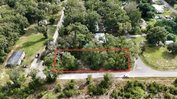 0 Wesley Avenue, Bell, FL 32619