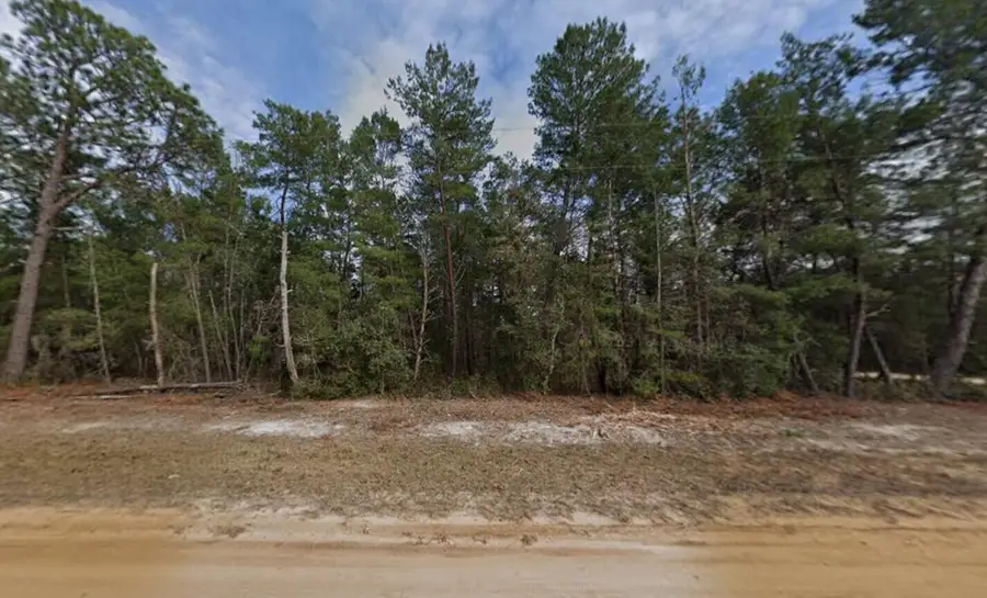 Tbd Creager, Interlachen, FL 32148 - #2