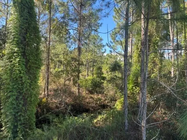 0 Fl-60, Lake Wales, FL 33853 - #2