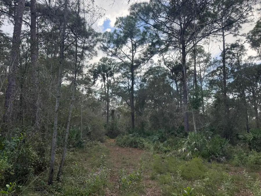 0 SW Deer Run, Okeechobee, FL 34974 - #2