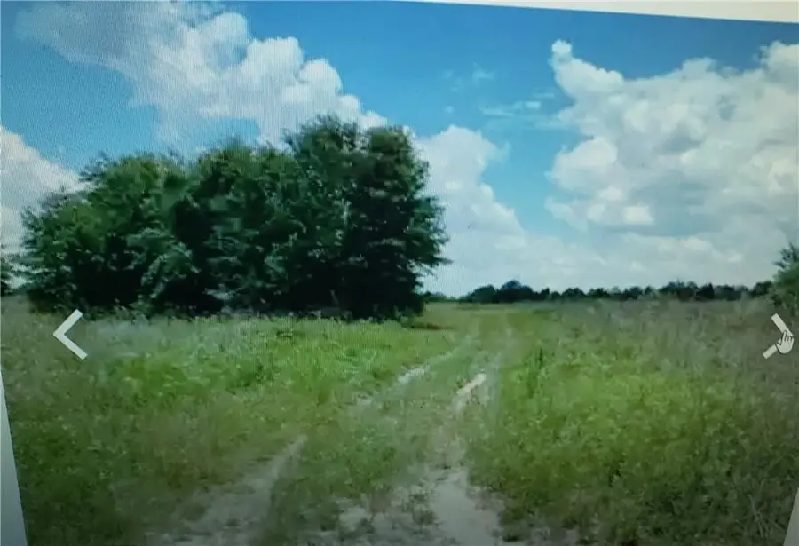 Lot D6 Palm Circle, Hawkinsville, GA 32008 - #2