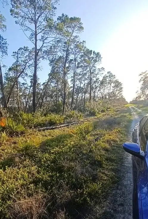 Address Withheld By Seller, Sebring, FL 33872 - Image #3