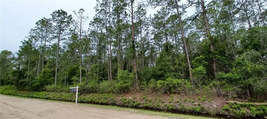 10695 Erickson Avenue, Hastings, FL 32145 - Image #2