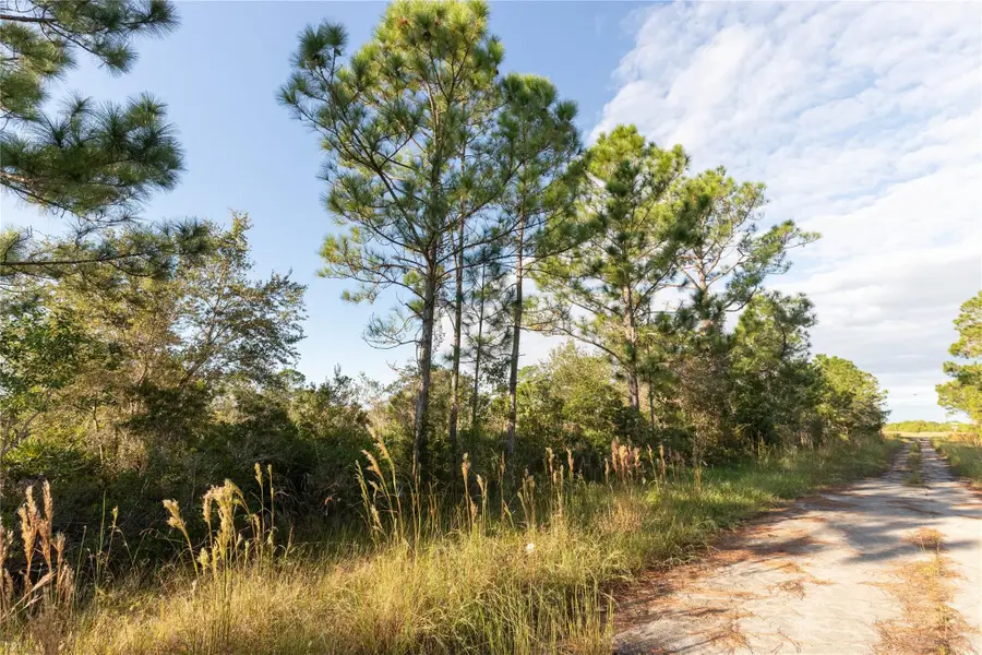 754 American Street Nw, Lake Placid, FL 33852 - Image #3