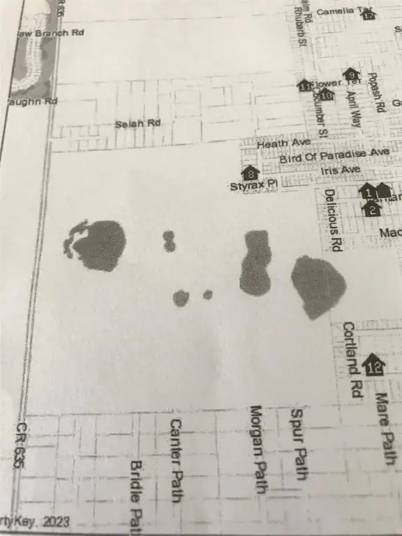 2138 Lantana Avenue, Sebring, FL 33875 - Image #2