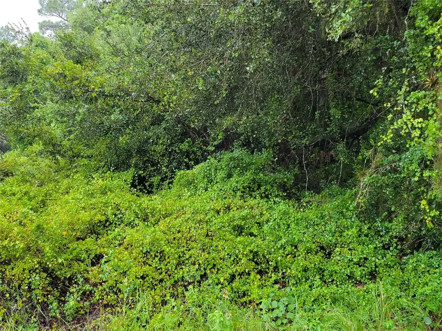 580 S Estribo Street, Clewiston, FL 33440 - Image #2