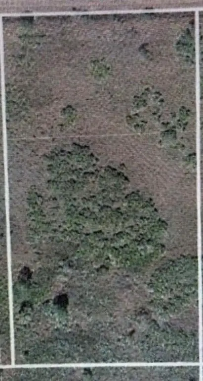 17128 NW 314th Street, Okeechobee, FL 34972 - Image #2