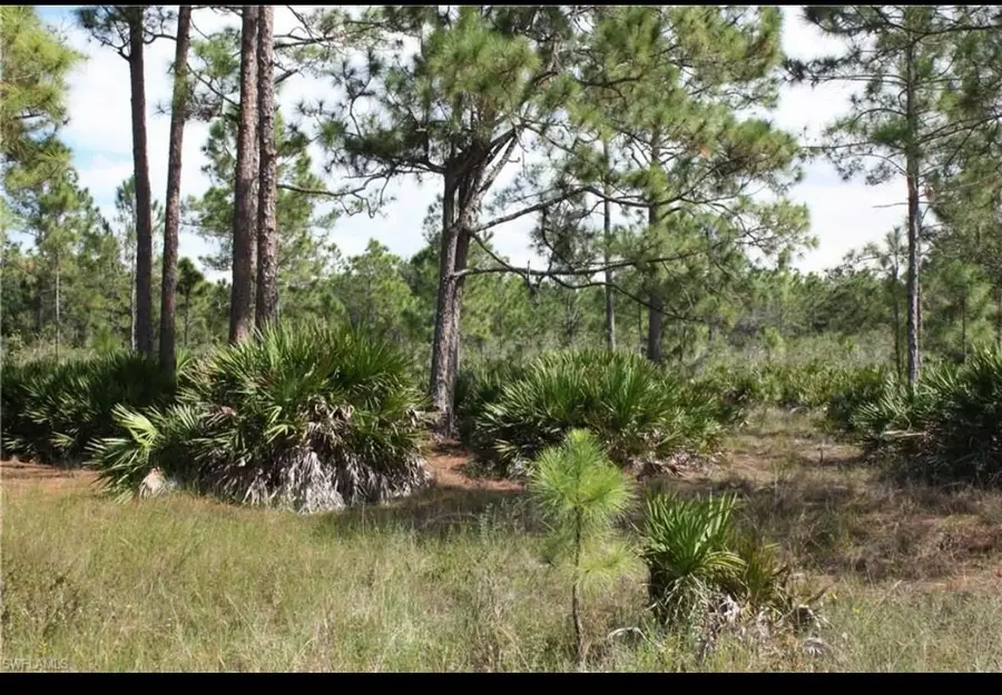 1855 Miller St, Lehigh Acres, FL 33972 - Image #3