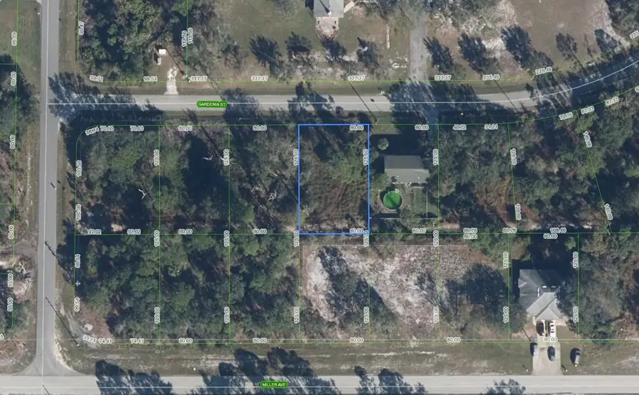 805 Gardenia St, Lake Placid, FL 33852 - Image #2