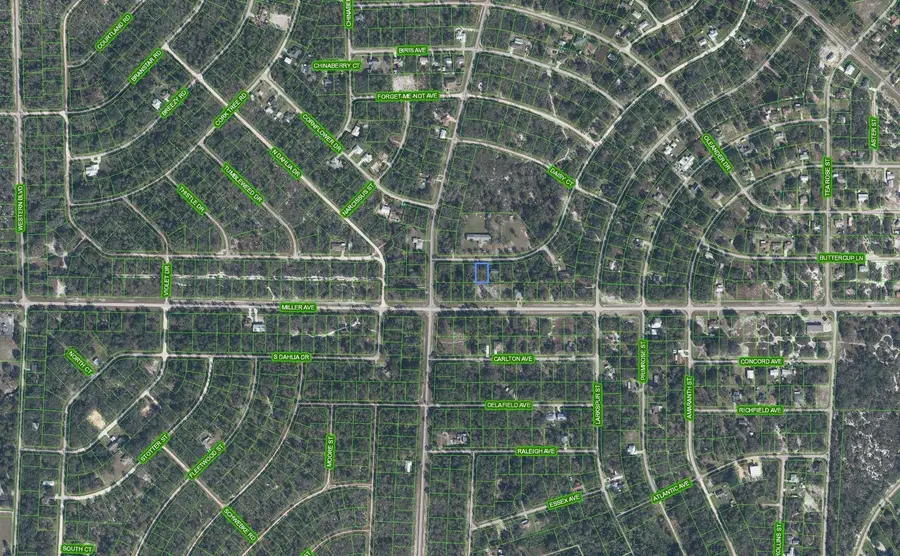 805 Gardenia St, Lake Placid, FL 33852 - Image #3