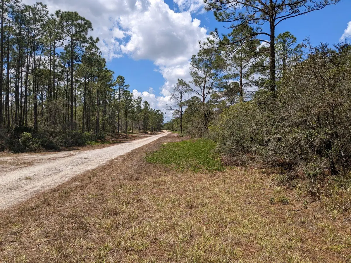 430 Apple Blossom Ave, Lake Placid, FL 33852 - Image #1