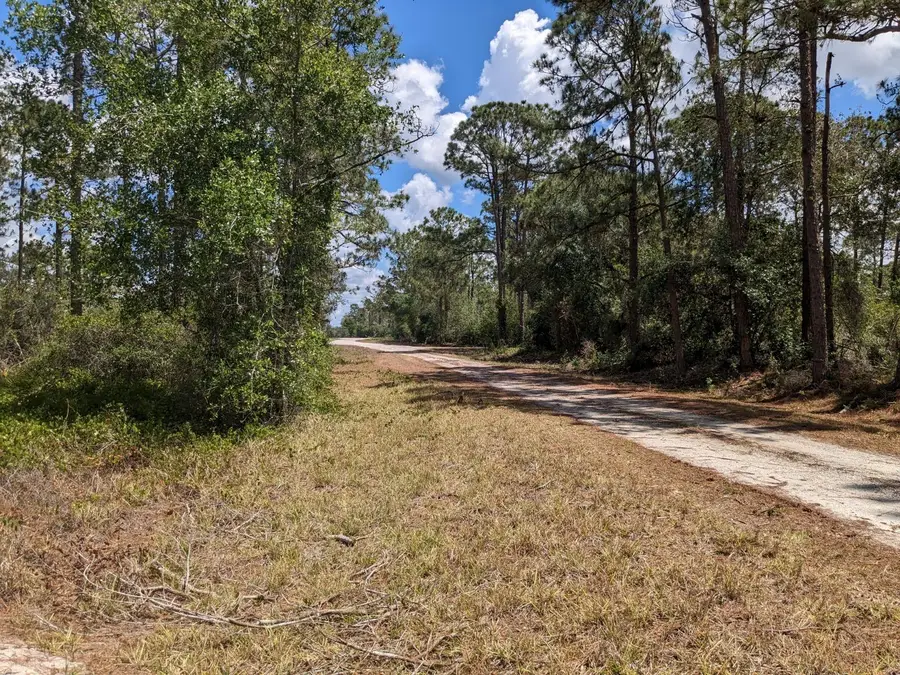 430 Apple Blossom Ave, Lake Placid, FL 33852 - Image #2