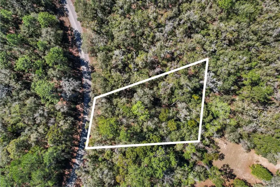 987 E Odin Dr, Citrus Springs, FL 34434 - Image #2