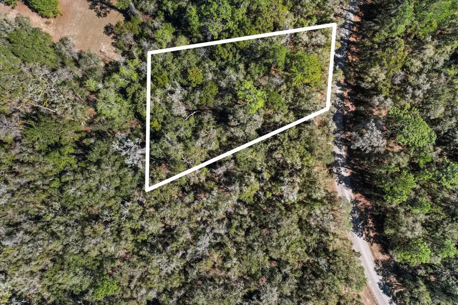 987 E Odin Dr, Citrus Springs, FL 34434 - Image #3