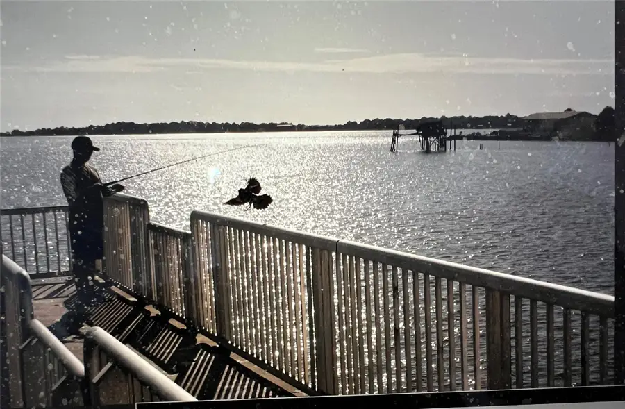 705 W Beresford Ave, Deland, FL 32720 - Image #3