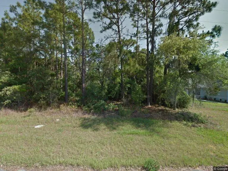3243 W Cushion Drive, Dunnellon, FL 34433 - #1