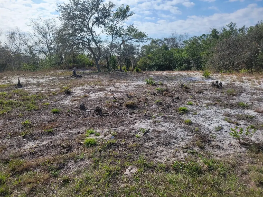 207 William Gray Court, Avon Park, FL 33825 - Image #1