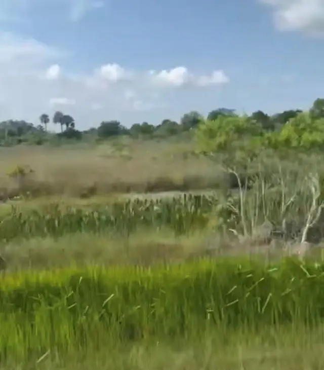 14828 NW 280th, Okeechobee, FL 34972 - Image #2