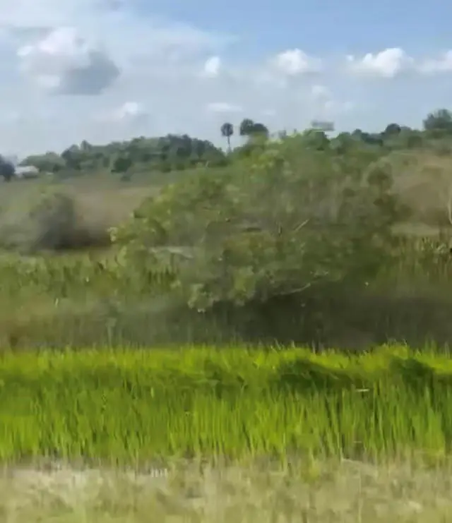 14880 NW 280th, Okeechobee, FL 34972 - Image #2