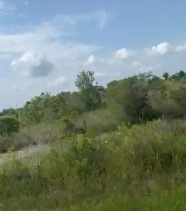 14880 NW 280th, Okeechobee, FL 34972 - Image #3