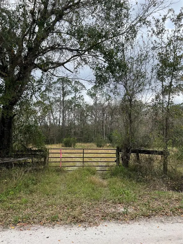 641 Sheppard Rd, Venus, FL 33960