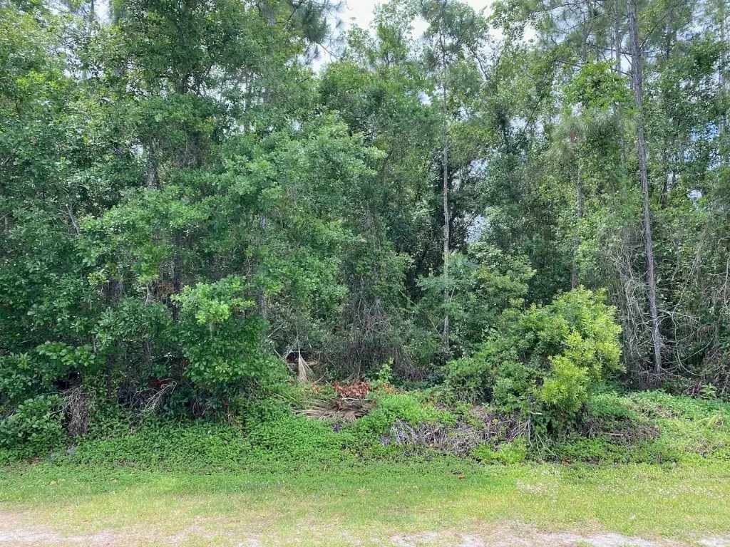 Lot 5 Blk 274 Blk 274 Allamanda Drive, Indian Lake Estates, FL  - Image #1