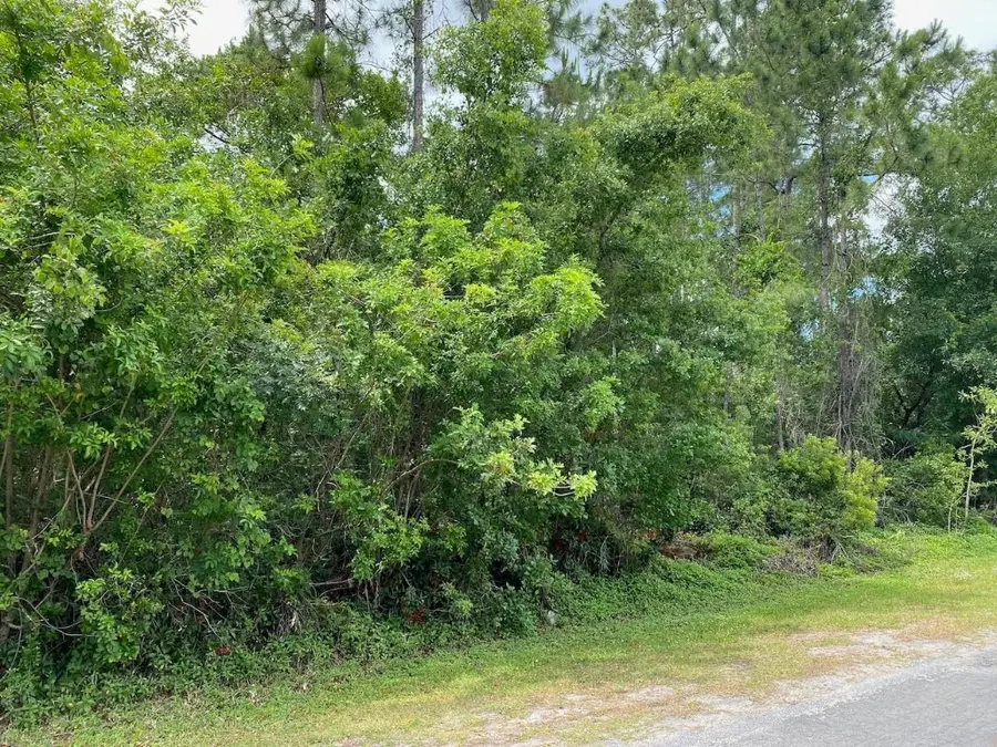 Lot 5 Blk 274 Blk 274 Allamanda Drive, Indian Lake Estates, FL  - Image #2