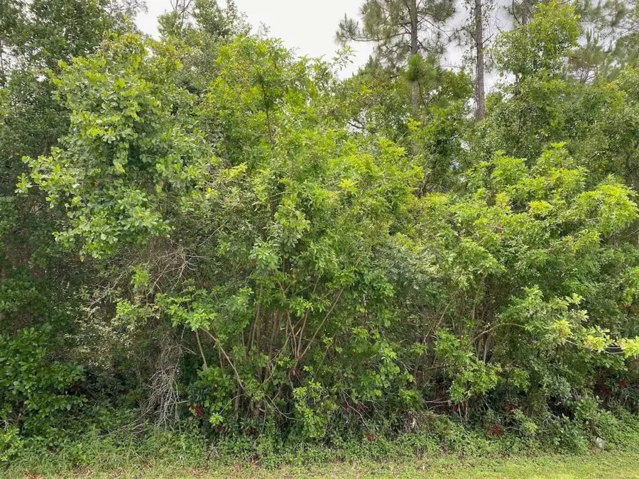 Lot 5 Blk 274 Blk 274 Allamanda Drive, Indian Lake Estates, FL  - Image #3