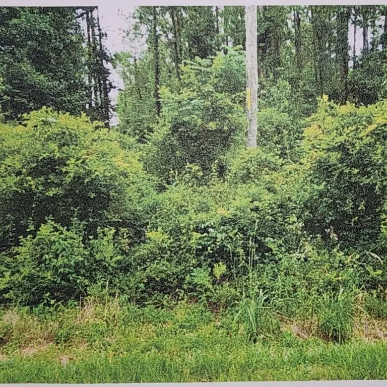 XXXX Xxxx Fairbanks Ferry, Tallahassee, FL 32312 - Image #3