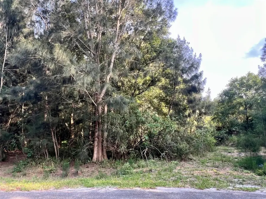 10128 NE 20th Lane, Okeechobee, FL 34974 - Image #2