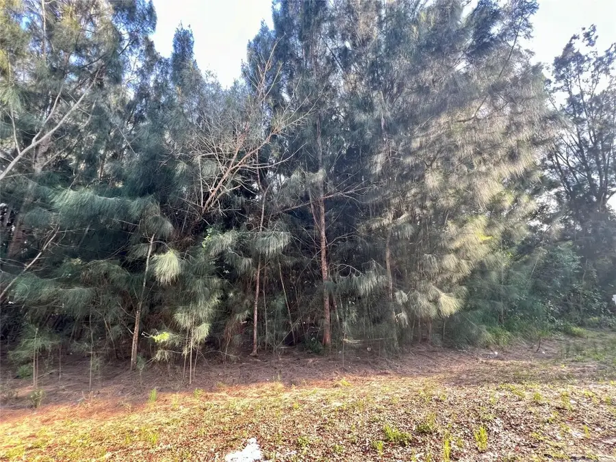 10128 NE 20th Lane, Okeechobee, FL 34974 - Image #3