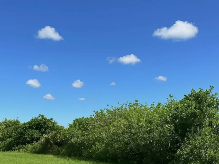 6617 SE 26th Trail, Okeechobee, FL 34974 - #2