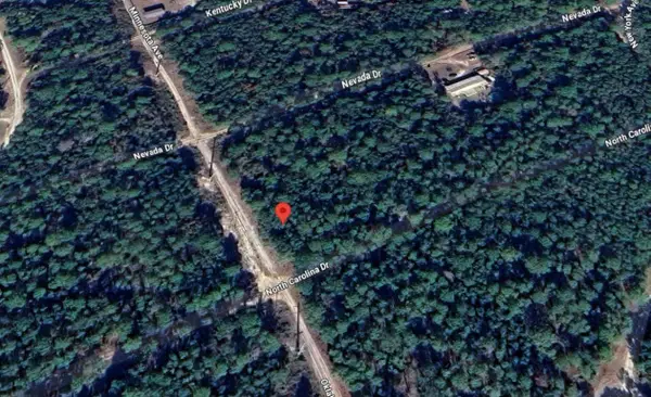 118 N Carolina Drive, Satsuma, FL 32189