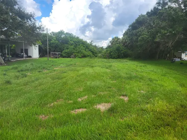 1099 Pine Ave, Moore Haven, FL 33471