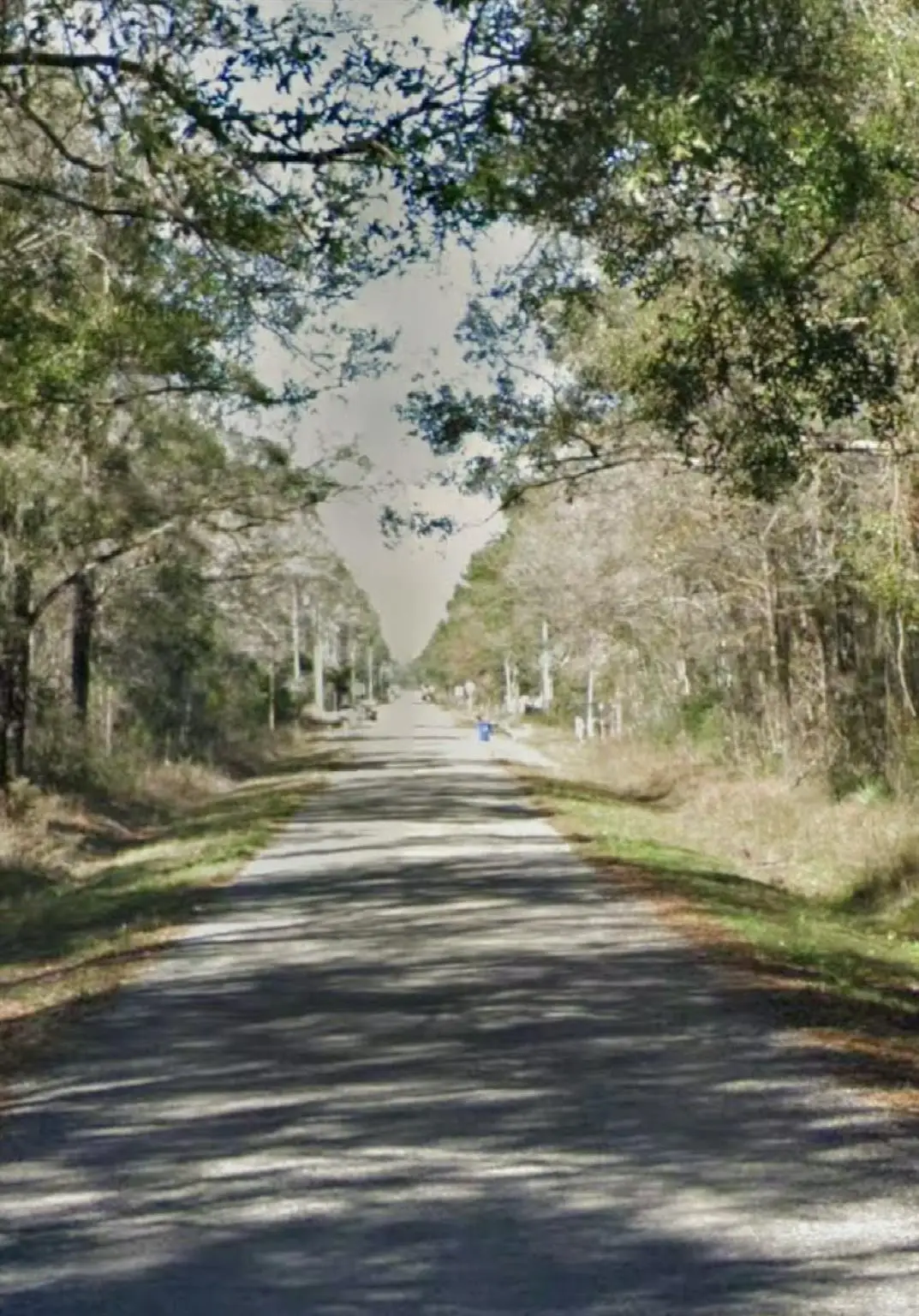 10065 Mcmahon, Hastings, FL 32145 - Image #1