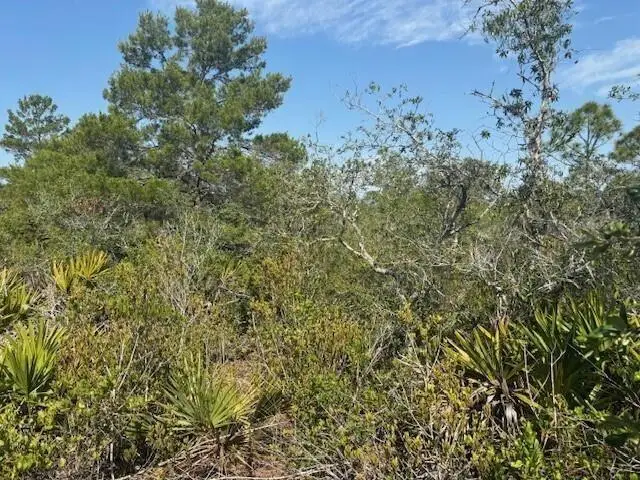 314 Falcon St, Lake Placid, FL 33852 - Image #2