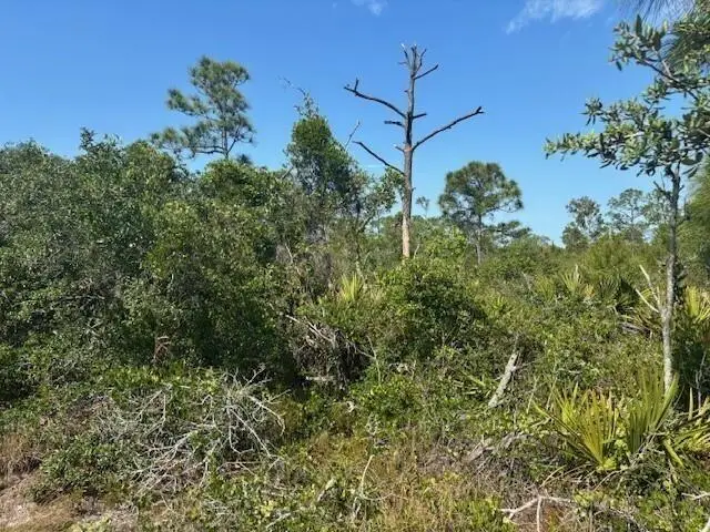 314 Falcon St, Lake Placid, FL 33852 - Image #3