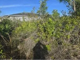 Address Withheld By Seller, Lehigh Acres, FL 33976 - Image #2