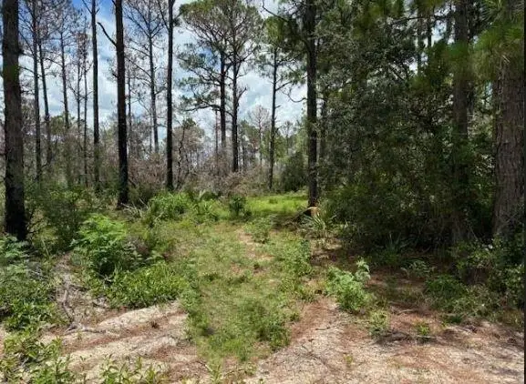 328 Claverton Dr, Lake Placid, FL 33852 - Image #1