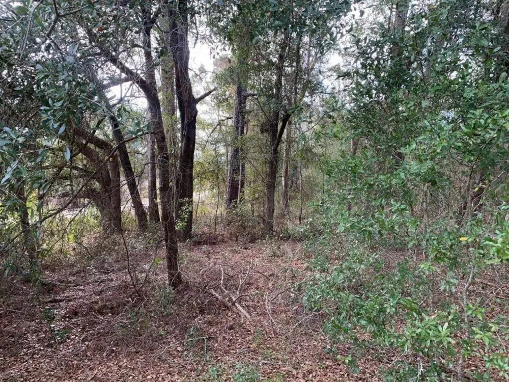 0 SW 30th Place, Ocala, FL 34481 - Image #1