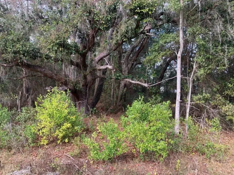 0 SW 30th Place, Ocala, FL 34481 - Image #2