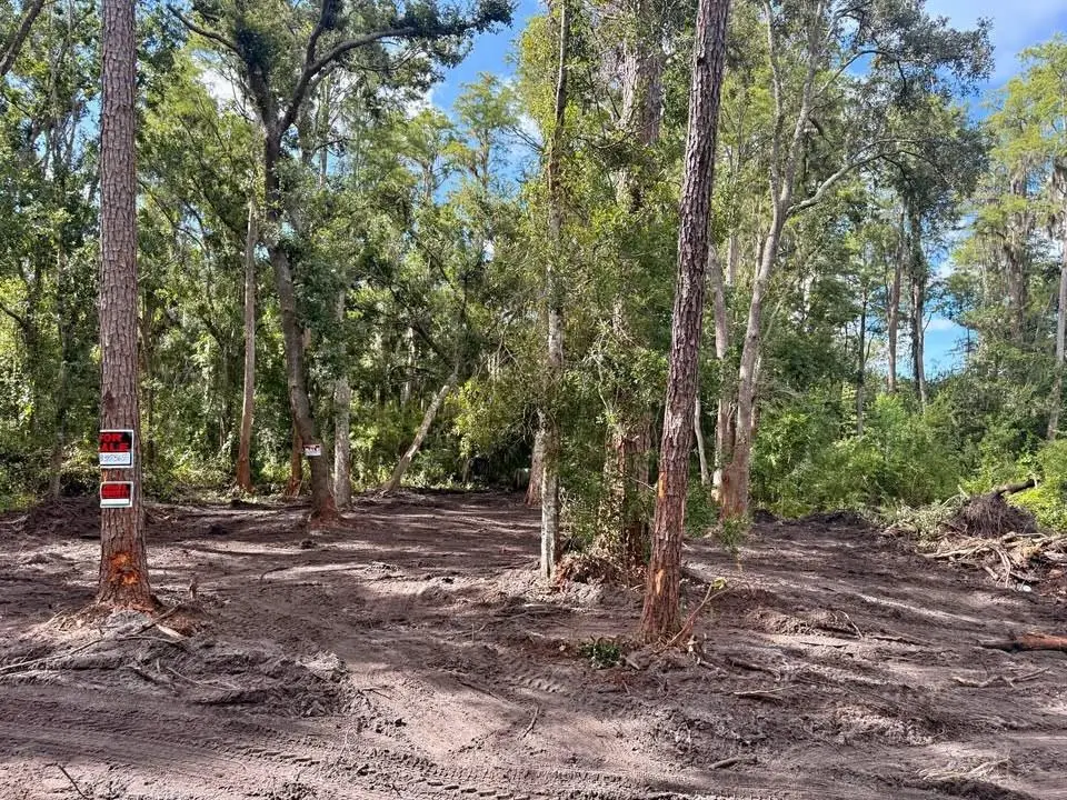 0 Anno St, Tampa, FL 33625 - Image #1