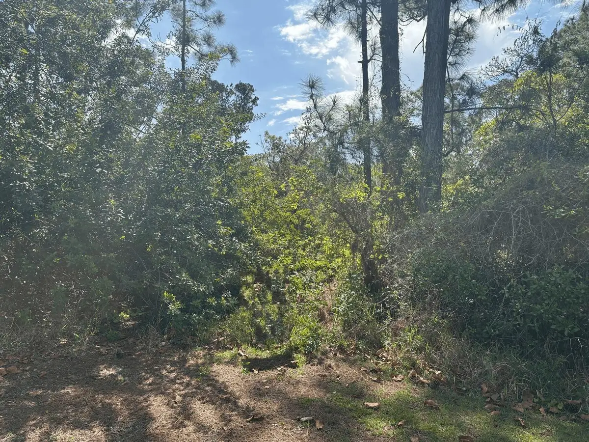 229 Caswell Ln, Lake Placid, FL 33852 - Image #1